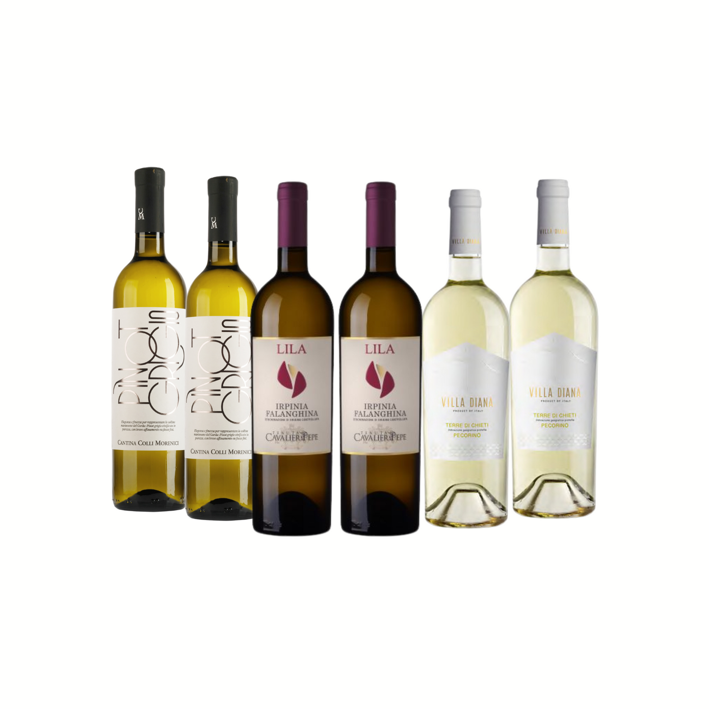 Pinot Grigio Falanghina Pecorino Italian white wine