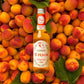 Cortese Bio Organic Soft Drink 275ml - Peach Tea - Frankies Pantry and Cellar